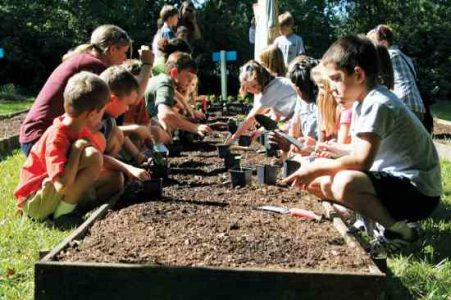 Community Garden Feeds the Homeless Image